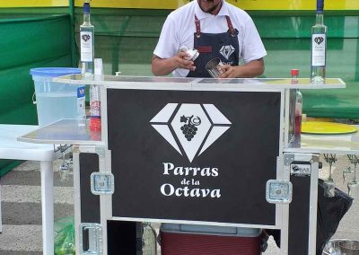 Coctelería con Pisco - Parras de la Octava