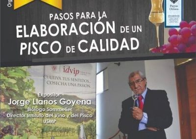 Director del Instituto de Pisco y Vino - Parras de la octava