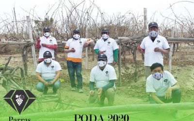 Realización de la PODA 2020