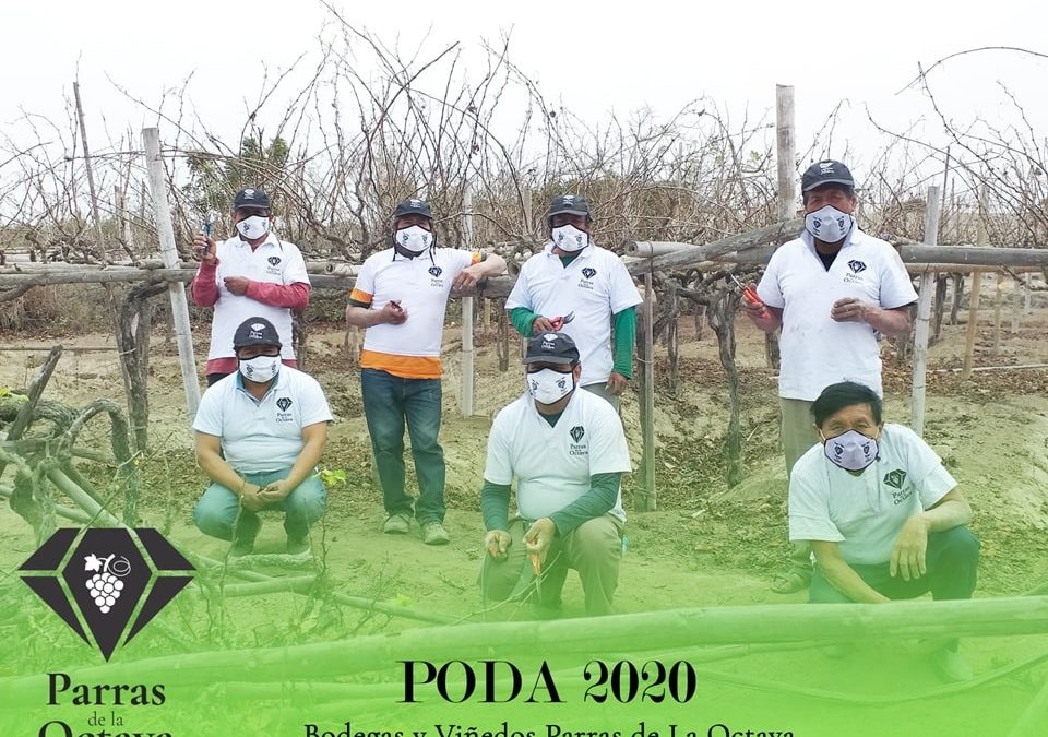 Realización de la PODA 2020